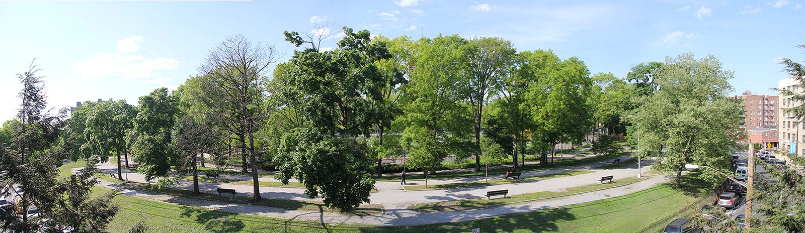 Oval Park Panorama Spring